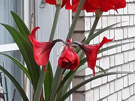 2020-03 Confinement Marylise B