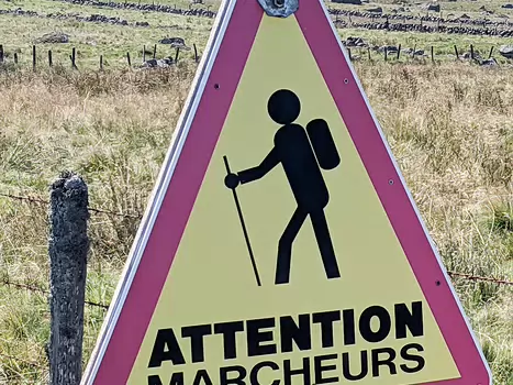 2021-08 Aubrac Aout 2021 : Aubrac