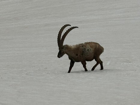 2024-06 Tresenta Jean-François M