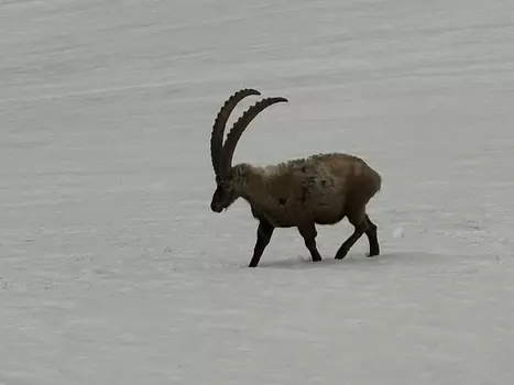 2024-06 Tresenta Jean-François M