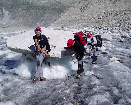 009z151 Champignons glaciaires.
