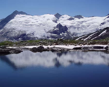 034 Tout le monde cherche la fraîcheur, y compris les moutons.