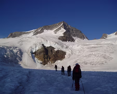 051 Traversée vers Grindelwald par le col entre Mittelhorn et Rosenhorn.