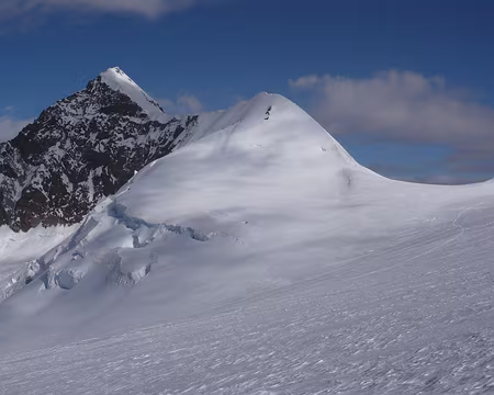 Mont Rose 226 L'élégant Lyskamm.