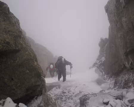 P6210044 chouette!! c'est l'été aujourd'hui