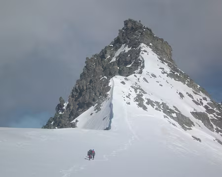 P6140019 à nous l'aiguille