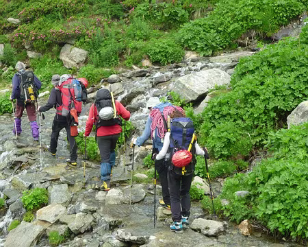 P1030146 J7: Un peu de verdure !