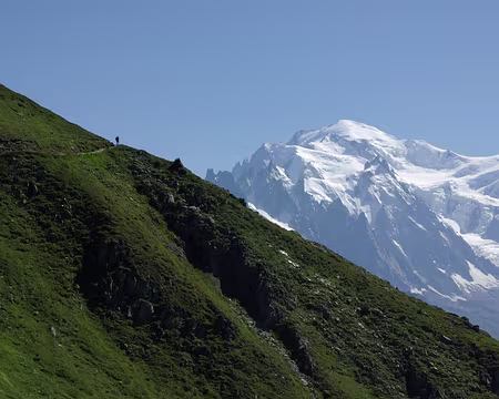 Le mont Blanc vu du sentier du refuge Albert Ier Le mont Blanc vu du sentier du refuge Albert Ier