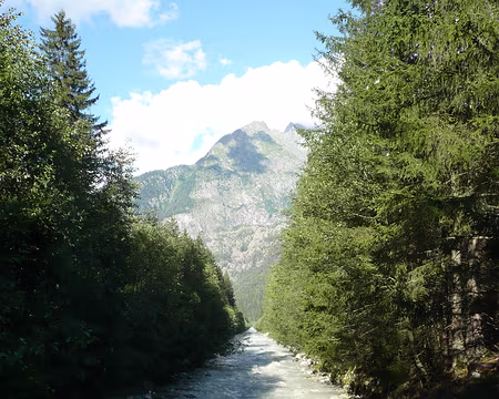 Chamonix-Zermatt aout 2010 014