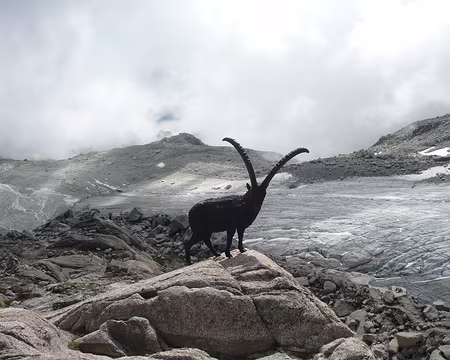 Chamonix-Zermatt aout 2010 046