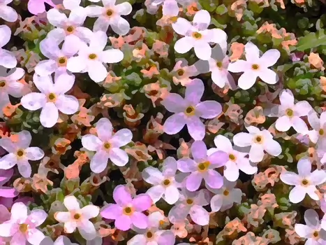 2010-08 Chamonix Zermatt