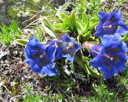 PXL016 On est pas des brutes