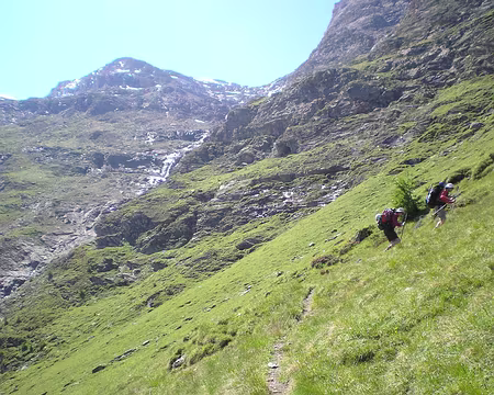 PXL002 les fauves sont lachés!