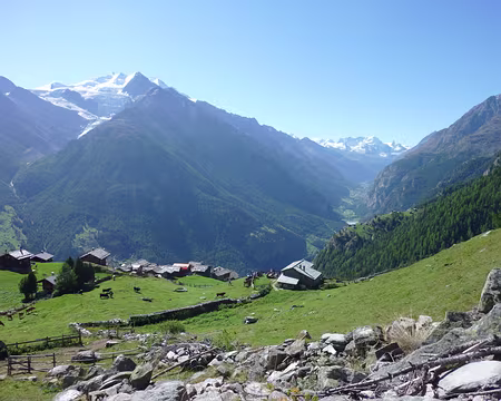 PXL002 03 - Jungu 1955m