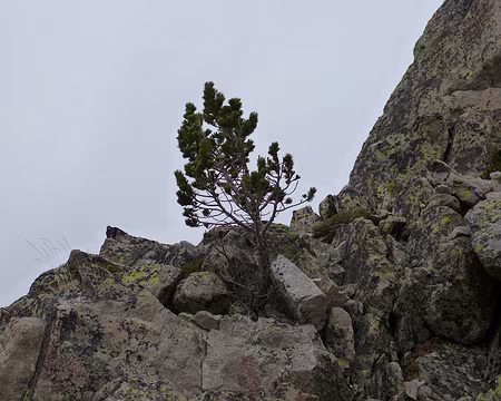 Le Pic d'Ardiden (2988m) depuis Luz-St-Sauveur Le Pic d’Ardiden fait partie des grands pics pyrénéens.