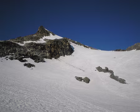 PXL026 ils ont mangé du lion ! on va demander un controle des urines.