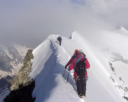 Picasa et le ballet commence