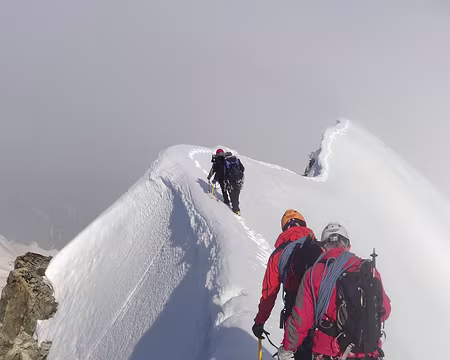 PXL062 Concentration requise