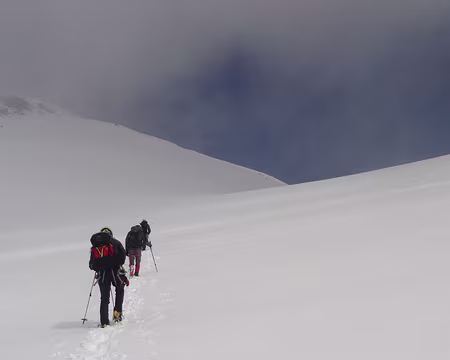 PXL040 Nouveaux compagnons