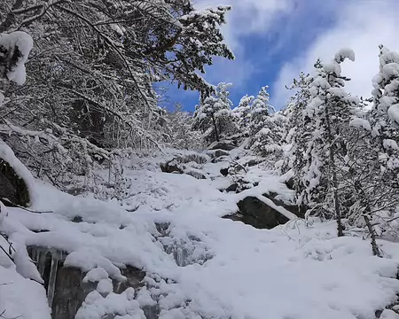01 Neige dans Champ Pelbaud