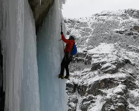 10z284 Encore 2 broches à sortir...