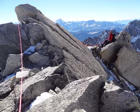 DSC05687 Sommet de flèche rousse