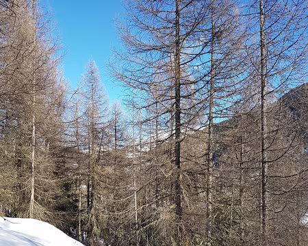 20180210_095127 Les formes du chaos