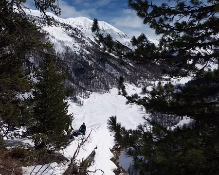 20180211_125453 Easy Rider