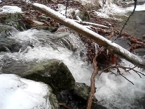 2013-02 Cantal Yannick M, détail sortie