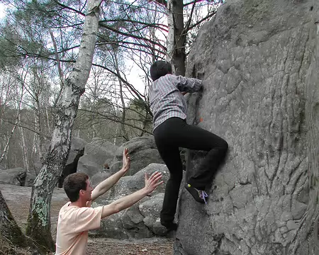 bleau Canche au Mercier01