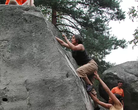 bleau Canche au Mercier03