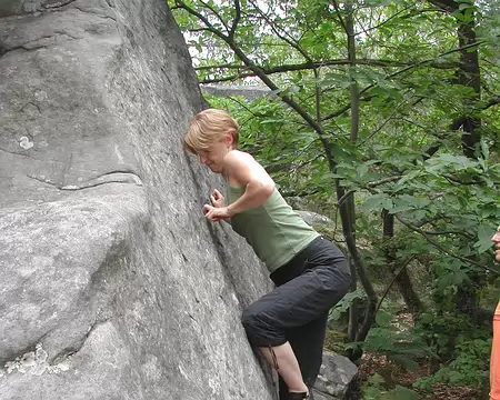 bleau Canche au Mercier04