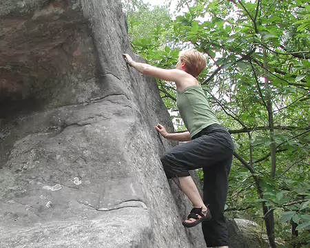 bleau Canche au Mercier05