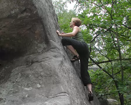 bleau Canche au Mercier06