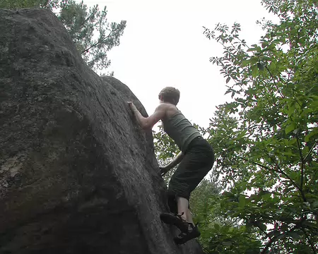 bleau Canche au Mercier07