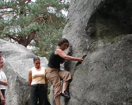 bleau Canche au Mercier08