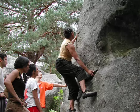 bleau Canche au Mercier09