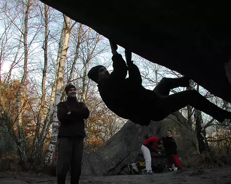 bleau Canche au Mercier11z337