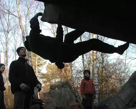 bleau Canche au Mercier16