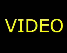 video diplodocus : cliquer pour lancer