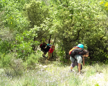une rude marche d'approche à Buis les Baronnies où nous avons fait une escapade