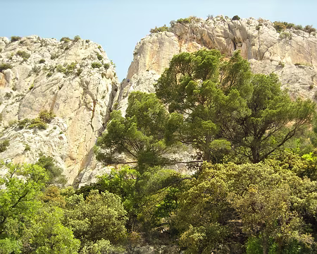 mais les murailles nous attendent