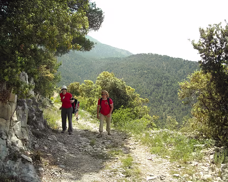 les sacs sont lourds!