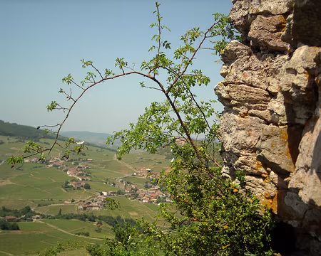 mai et juin 2009 manifs et week-ends 151