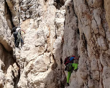 IMG_20170412_151813 cof