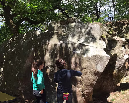 IMG-20210529-WA0022 (copie)