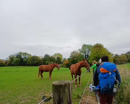 WhatsApp Image 2025-10-19 at 14.11.16