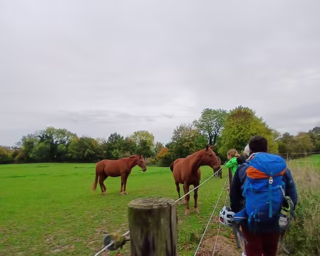 WhatsApp Image 2025-10-19 at 14.11.16