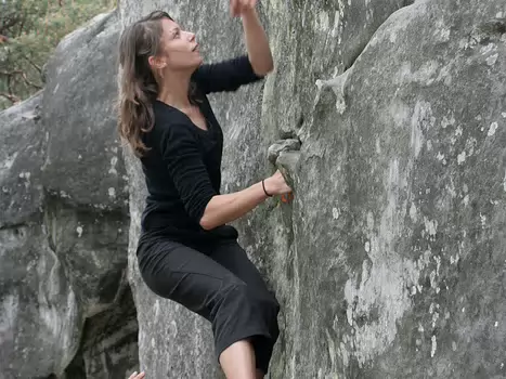 2006_Printemps_Elephant