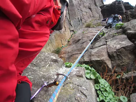 2013-10 Automne détail de la sortie